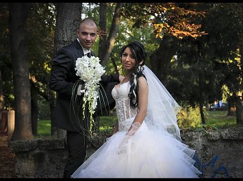 Image Creator Nunta Arad
