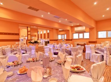 Gastro Laser Nunta Arad