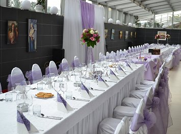 Alanys Deco Nunta Arad