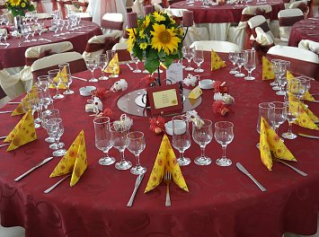 Alanys Deco Nunta Arad