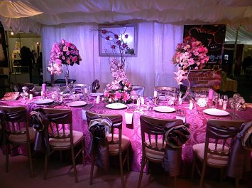 Vivianne Decor Nunta Arad