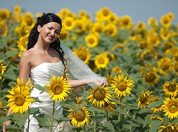 Foto Studio Enigma Nunta Arad
