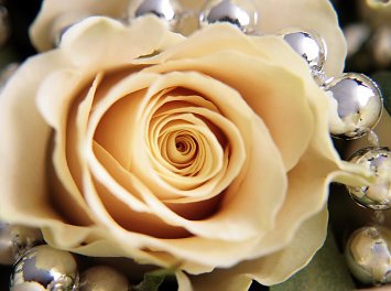 Diamond Mariage Nunta Arad