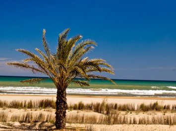 Emol Travel Nunta Arad