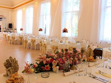 Milenium Garden Nunta Arad