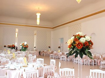 Milenium Garden Nunta Arad