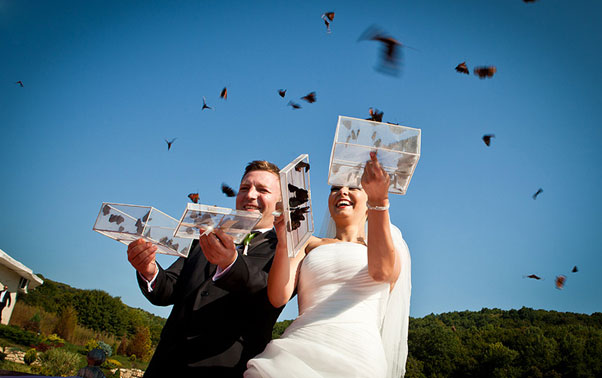 Miri eliberand fluturi pentru nunta in Cluj