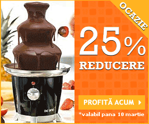 25% Reducere Bufet fructe si Fantana ciocolata