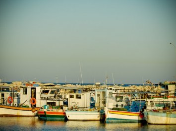 Royal Travel Nunta Arad