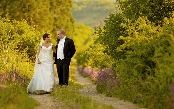 Locatii poze dupa nunta deal Maderat Arad